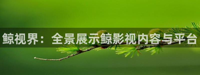 麦田影院下载：鲸视界：全景展示鲸影视内容与平台