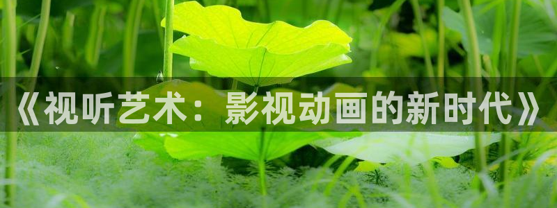 麦田影院苹果版下载：《视听艺术：影视动画的新时代》