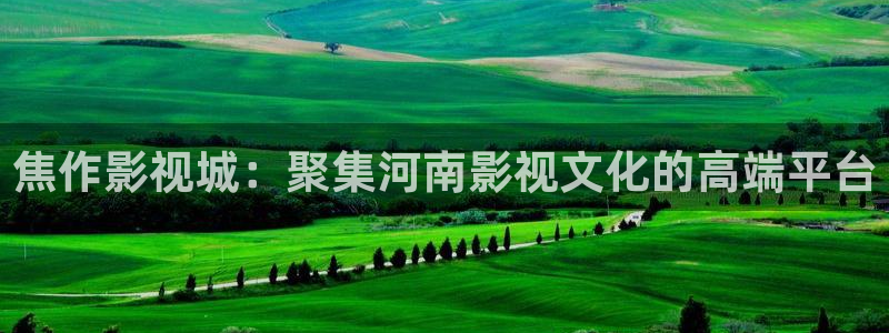 麦田照片