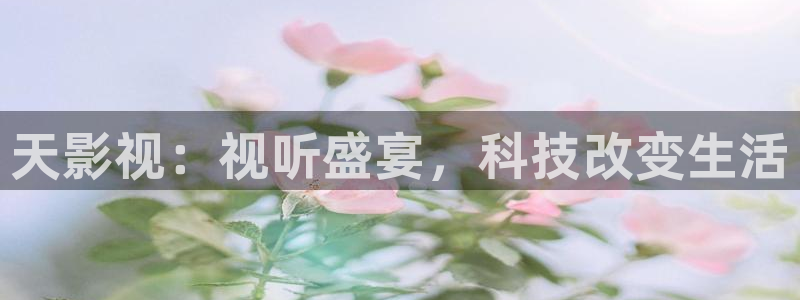 麦田映像