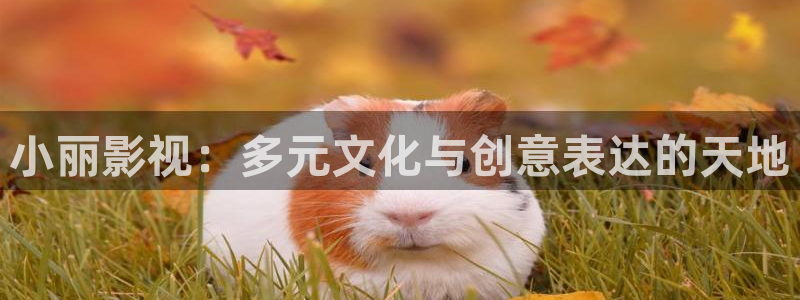 麦田影视官网：小丽影视：多元文化与创意表达的天地