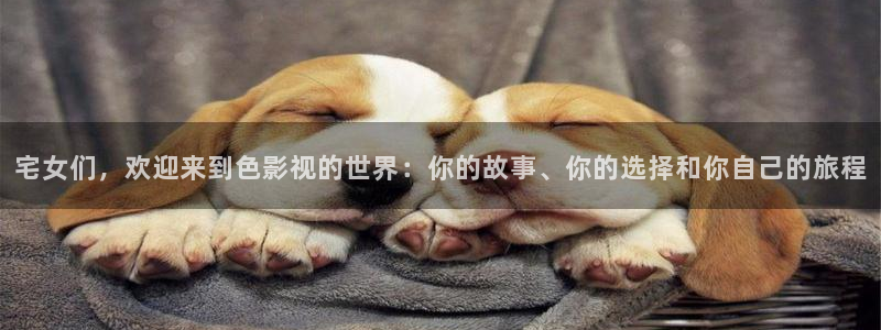 麦田视觉：宅女们，欢迎来到色影视的世界：你的故事、你的选择和你自己的旅程
