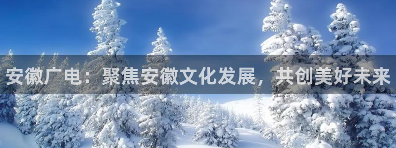 麦田影视下载：安徽广电：聚焦安徽文化发展，共创美好未来